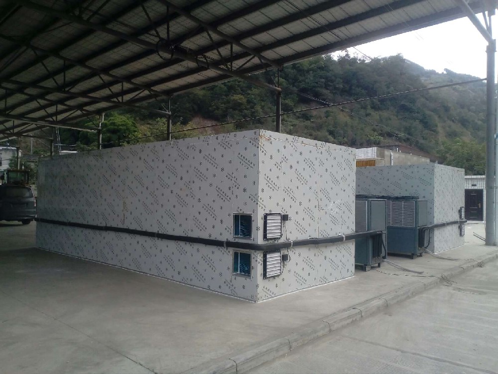 三七烘干工艺：如何加工出口感更佳、药效更强的三七？(三七烘烤技术）